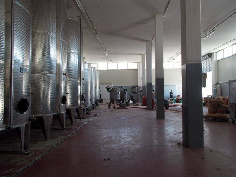 Ripatransone- Azienda Agricola Cantina Nuova.jpg