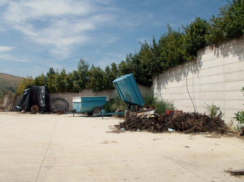 Ripatransone- Azienda Agricola Piazzale.jpg