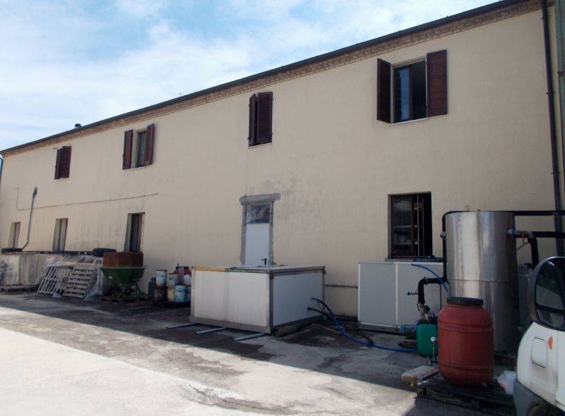 Ripatransone- Azienda Agricola casolare .jpg