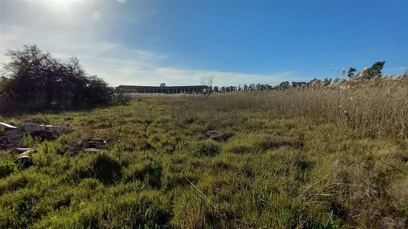 LIDO METAPONTO (142).jpg