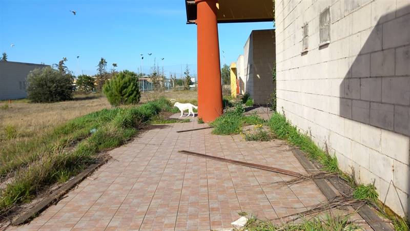 LIDO METAPONTO (86).jpg