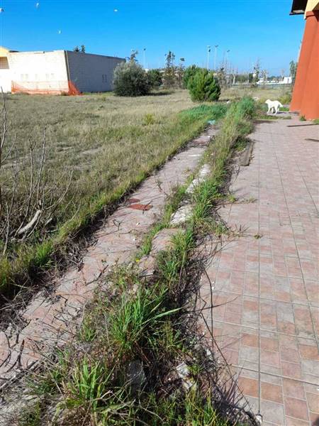 LIDO METAPONTO (2).jpeg