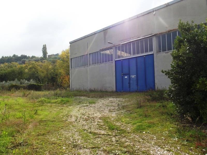 capannone grottammare (3).JPG