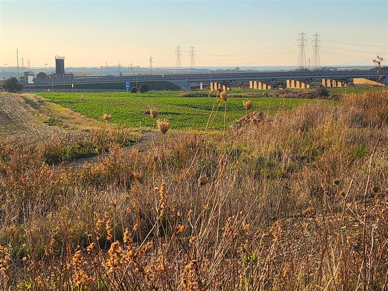 DILEOIMMOBILIARE VENDE TERRENO EDIFICABILE INDUSTR