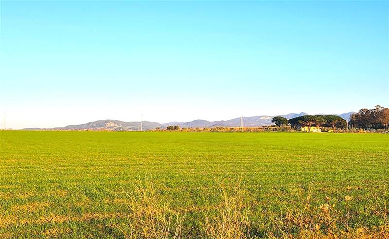 DILEOIMMOBILIARE VENDE TERRENO EDIFICABILE INDUSTR