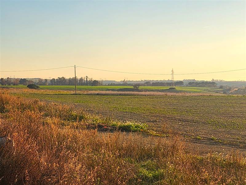 DILEOIMMOBILIARE VENDE TERRENO EDIFICABILE INDUSTR