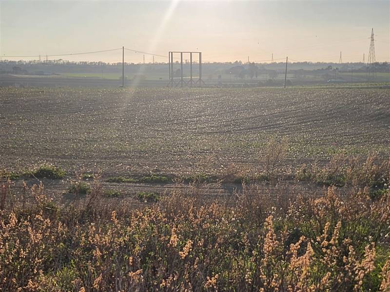 DILEOIMMOBILIARE VENDE TERRENO EDIFICABILE INDUSTR