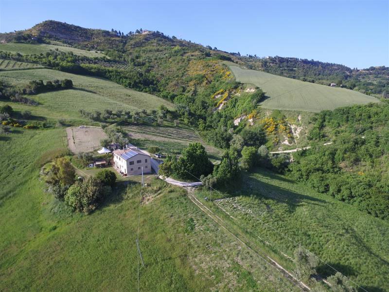 03 RIPATRANSONE - BILOCALE IN COLLINA.jpg