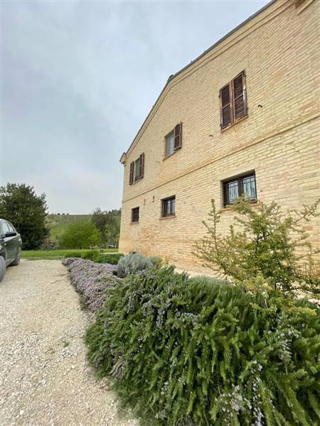 06 RIPATRANSONE - BILOCALE IN COLLINA.jpeg