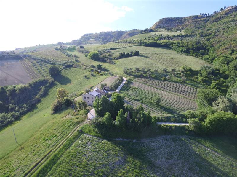 04 RIPATRANSONE - BILOCALE IN COLLINA.jpg