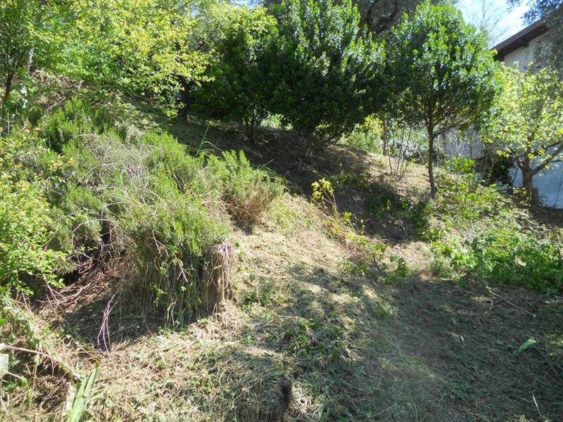 07 COLONNELLA - TERRENO CON VISTA PANORAMICA .JPG