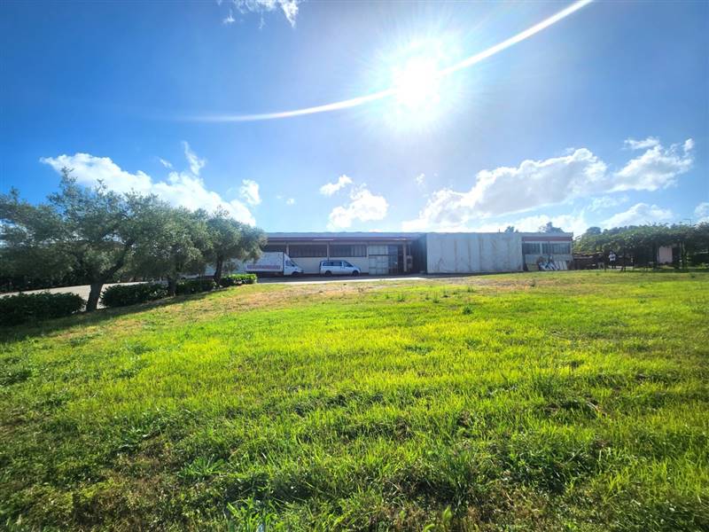 DILEOIMMOBILIARE VENDE CAPANNONE CON PIAZZALE A RO