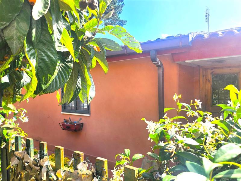 DILEOIMMOBILIARE VENDE CAPANNONE CON PIAZZALE A RO