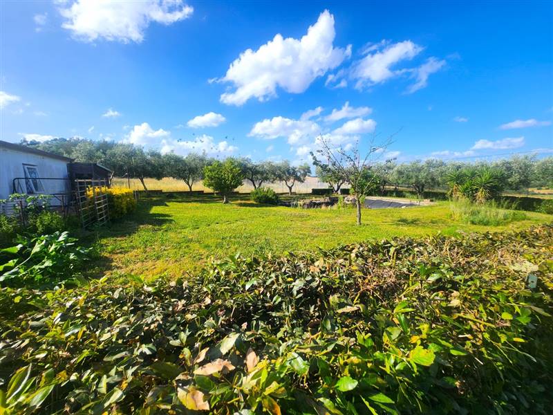 DILEOIMMOBILIARE VENDE CAPANNONE CON PIAZZALE A RO