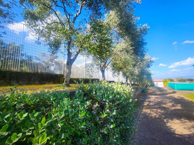 DILEOIMMOBILIARE VENDE CAPANNONE CON PIAZZALE A RO