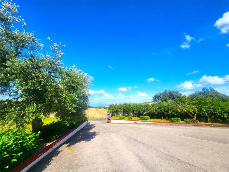 DILEOIMMOBILIARE VENDE CAPANNONE CON PIAZZALE A RO