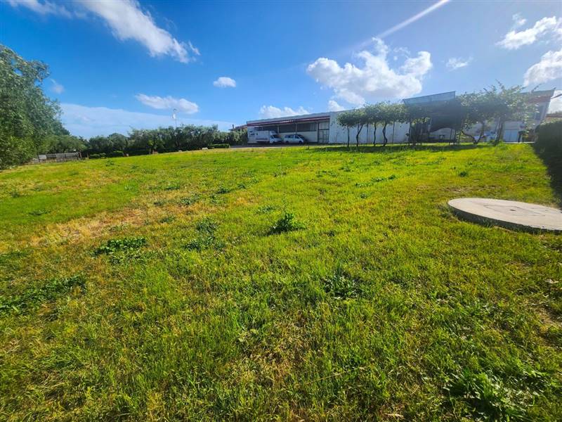 DILEOIMMOBILIARE VENDE CAPANNONE CON PIAZZALE A RO