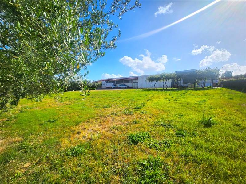 DILEOIMMOBILIARE VENDE CAPANNONE CON PIAZZALE A RO