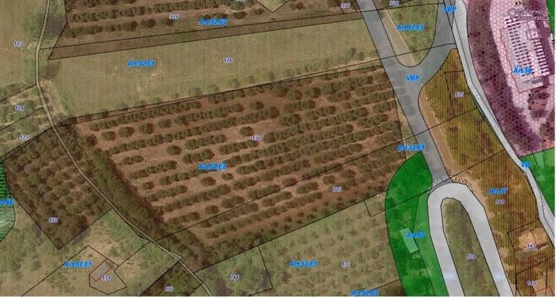 Colonella vista aerea con numeri per terreno.jpg