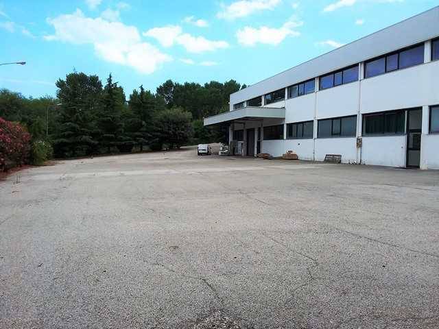 C Piazzale nord-est 3.jpg