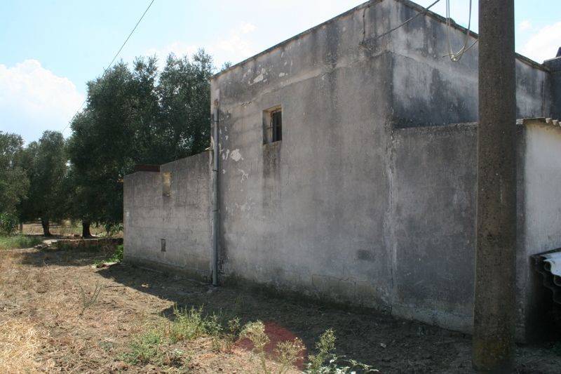 Immagine 006 (800x533).jpg