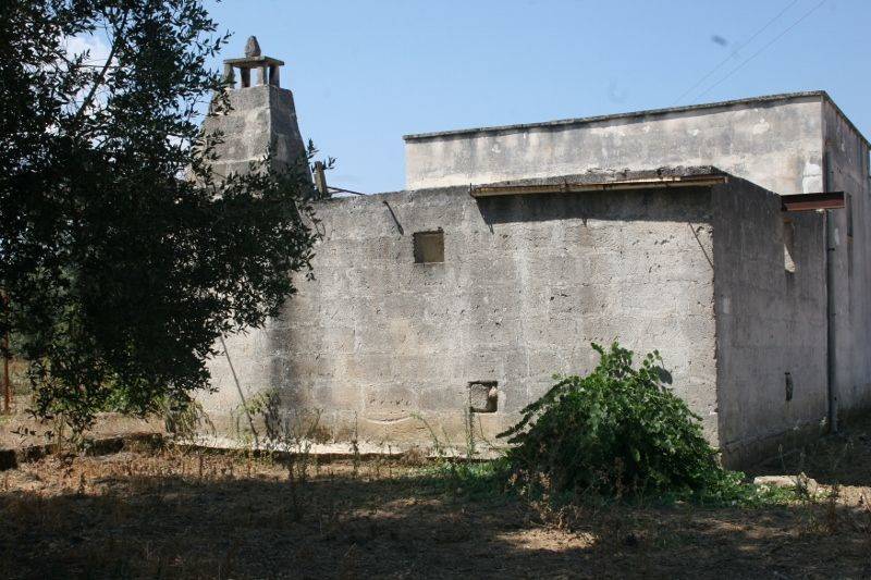 Immagine 002 (800x533).jpg