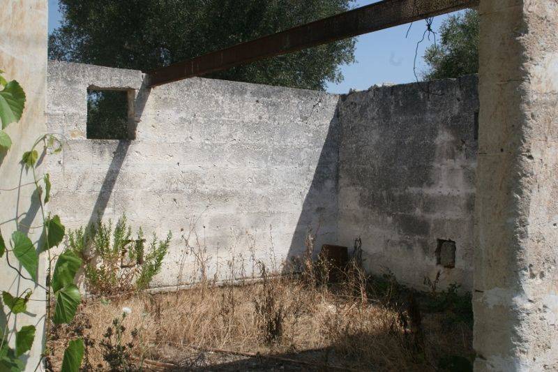 Immagine 014 (800x533).jpg