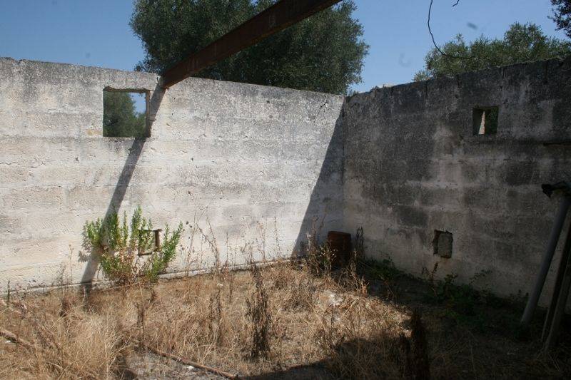 Immagine 011 (800x533).jpg