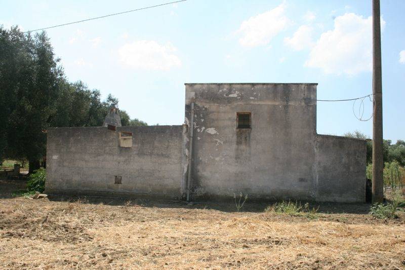 Immagine 007 (800x533).jpg