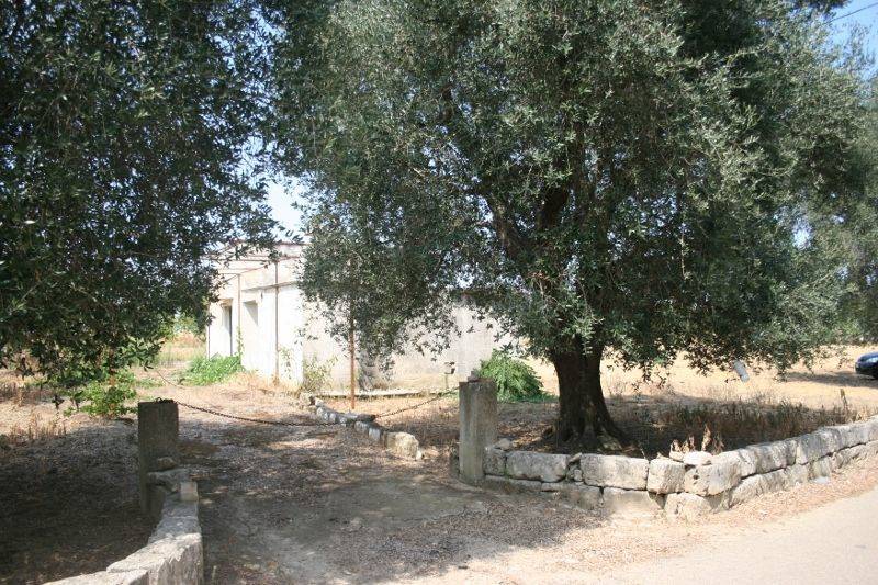 Immagine 062 (800x533).jpg