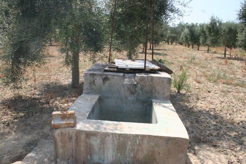 Immagine 022 (800x533).jpg