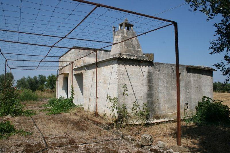 Immagine 003 (800x533).jpg