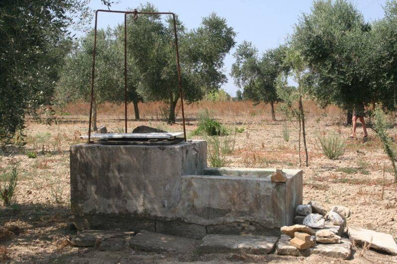 Immagine 021 (800x533).jpg