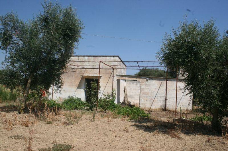 Immagine 018 (800x533).jpg