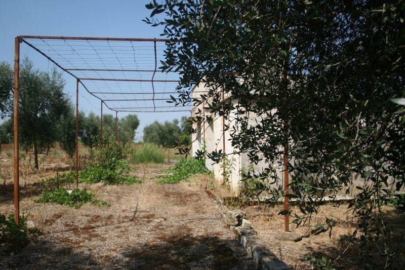 Immagine 032 (800x533).jpg