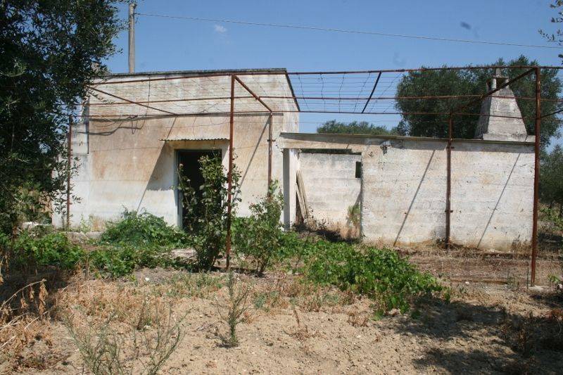 Immagine 004 (800x533).jpg