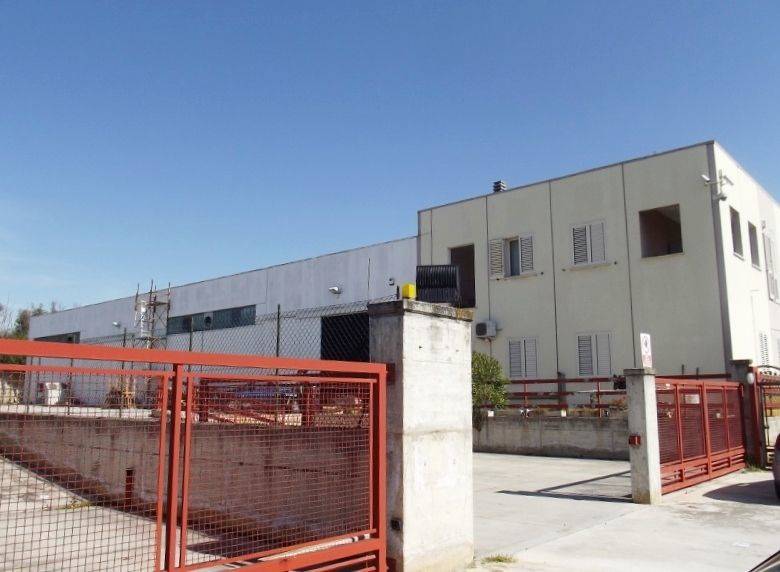 DSCF1512 (800x600).jpg