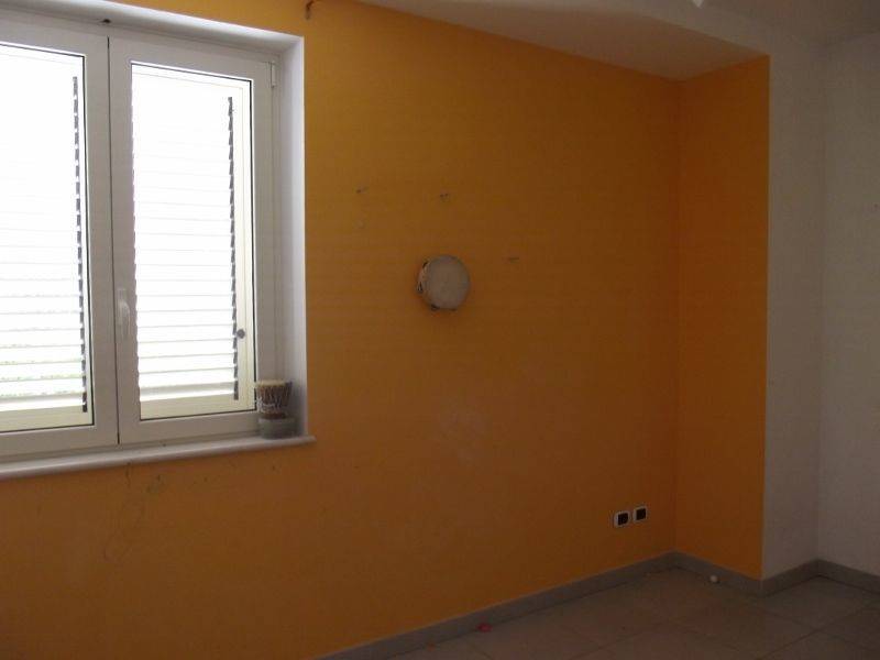 DSCF1524 (800x600).jpg