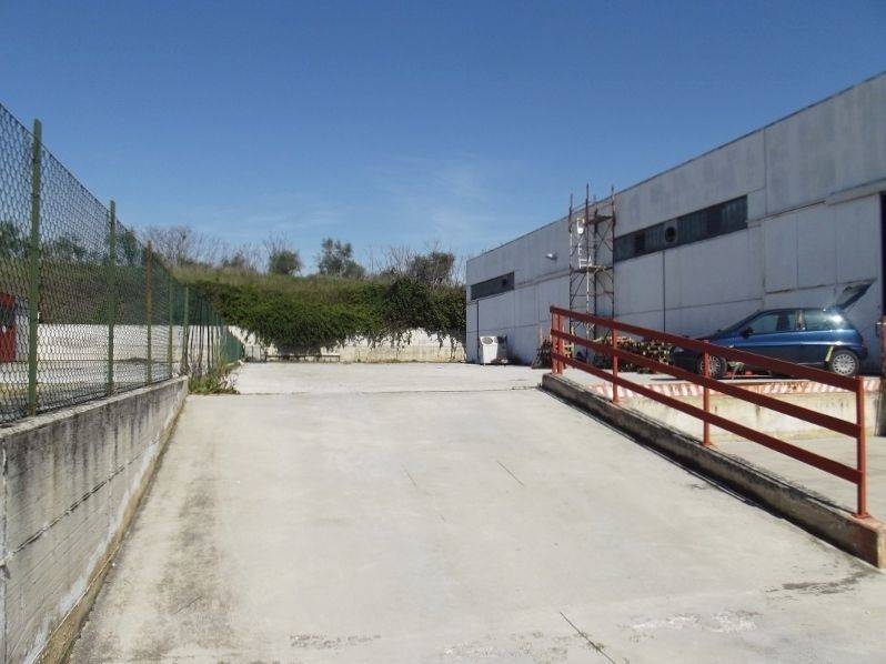 DSCF1513 (800x600).jpg