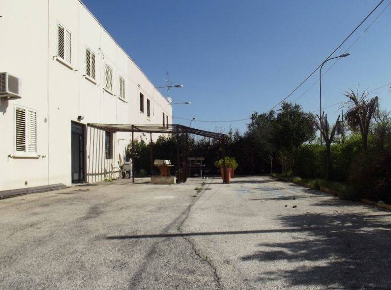 DSCF1517 (800x600).jpg