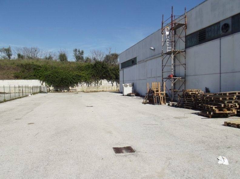 DSCF1532 (800x600).jpg