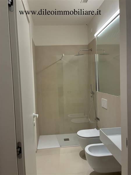 12. DILEOIMMOBILIAREAFFITTAAPPARTAMENTOSANBENEDETT