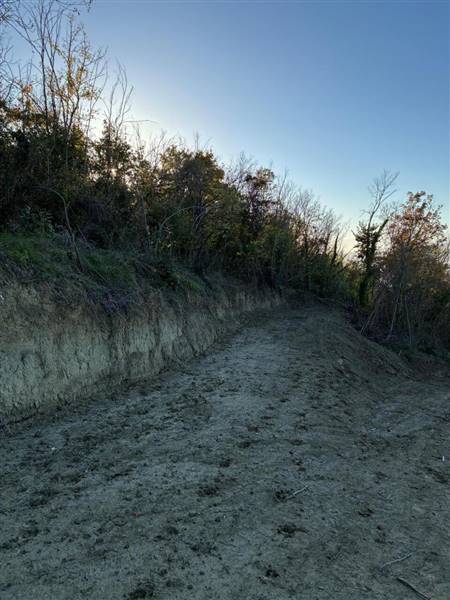 17 COLONNELLA - CASA DI CAMPAGNA VISTA MARE DA RIS