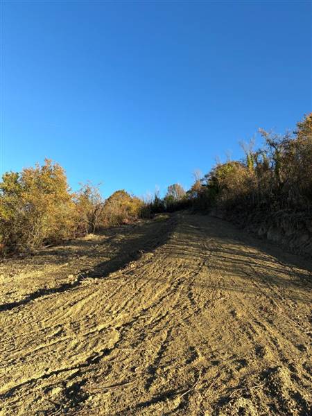 15 COLONNELLA - CASA DI CAMPAGNA VISTA MARE DA RIS