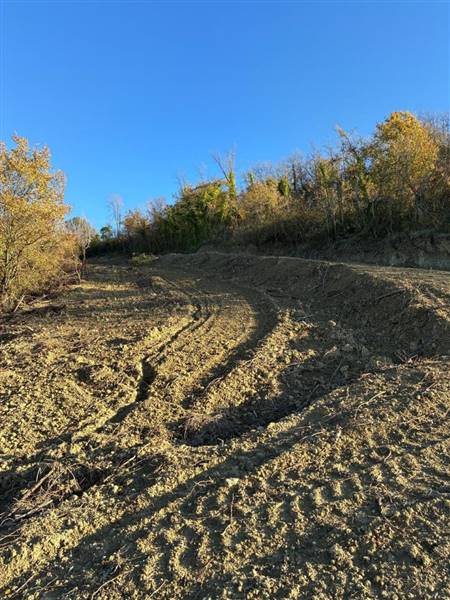 18 COLONNELLA - CASA DI CAMPAGNA VISTA MARE DA RIS