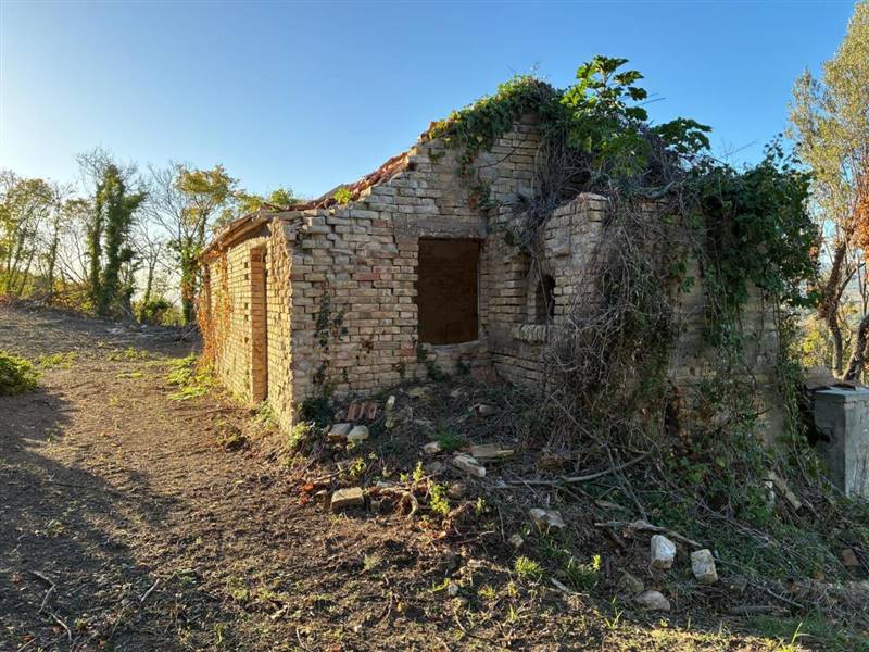04 COLONNELLA - CASA DI CAMPAGNA VISTA MARE DA RIS