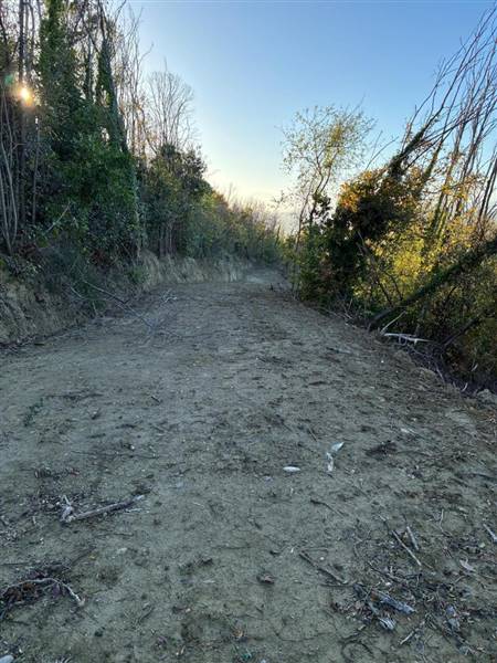 16 COLONNELLA - CASA DI CAMPAGNA VISTA MARE DA RIS