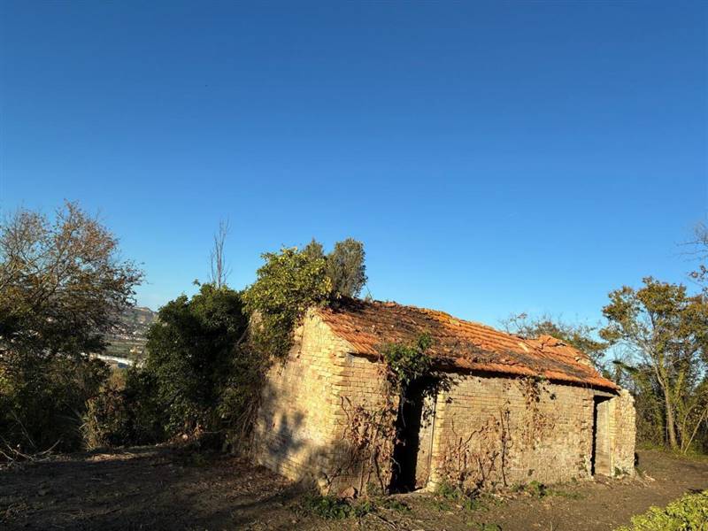 09 COLONNELLA - CASA DI CAMPAGNA VISTA MARE DA RIS