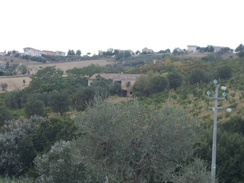 10 COLONNELLA- Vigneto di 12 ettari con casale e l