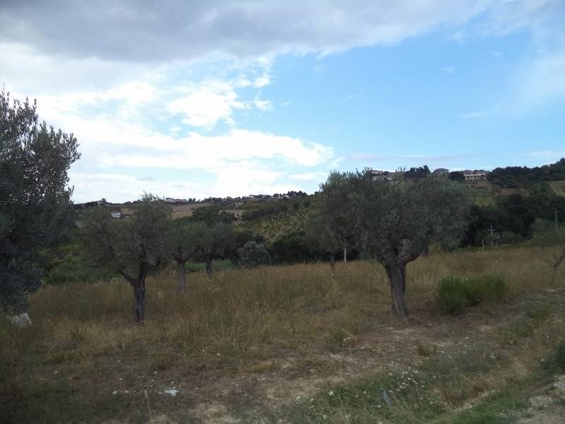 14 COLONNELLA- Vigneto di 12 ettari con casale e l